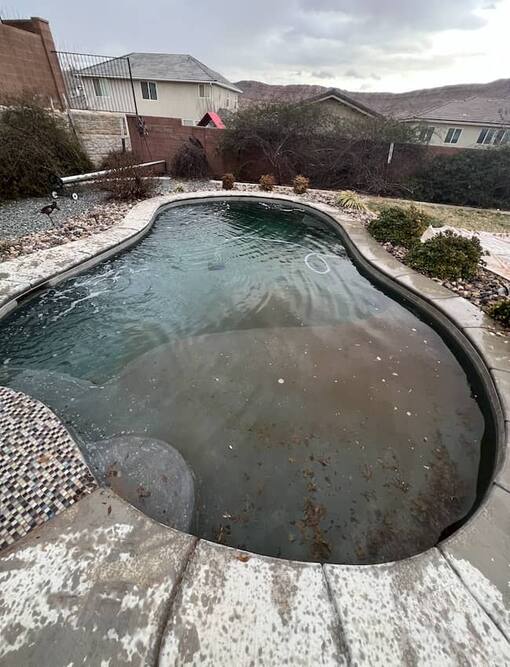 Cloudy green pool water before treatment